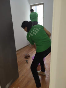 專業(yè)家庭保潔服務(wù)，潔凈健康生活新標(biāo)準(zhǔn)